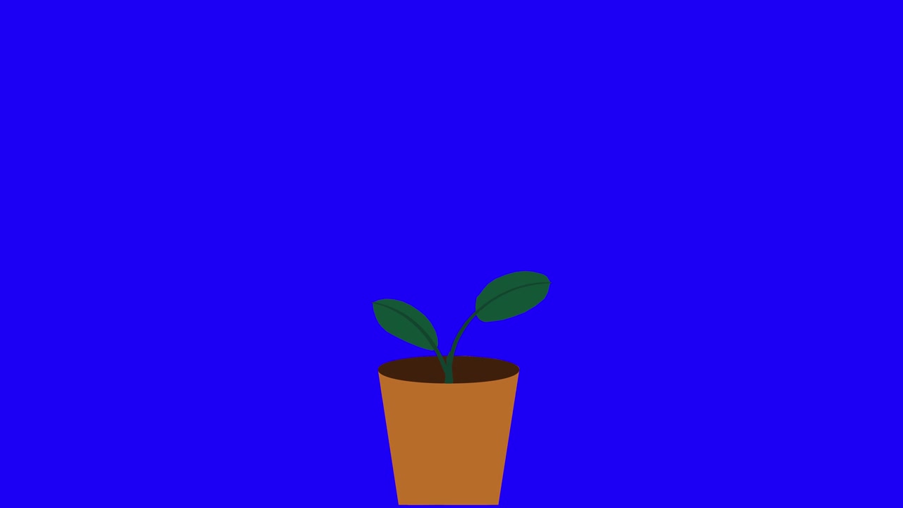 Planta com 2 folhas cresce e germina em vaso de terracota em fundo azul.