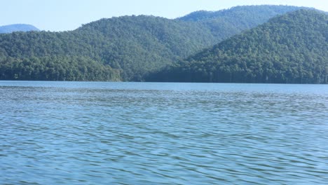 calm water with forested mountains in background