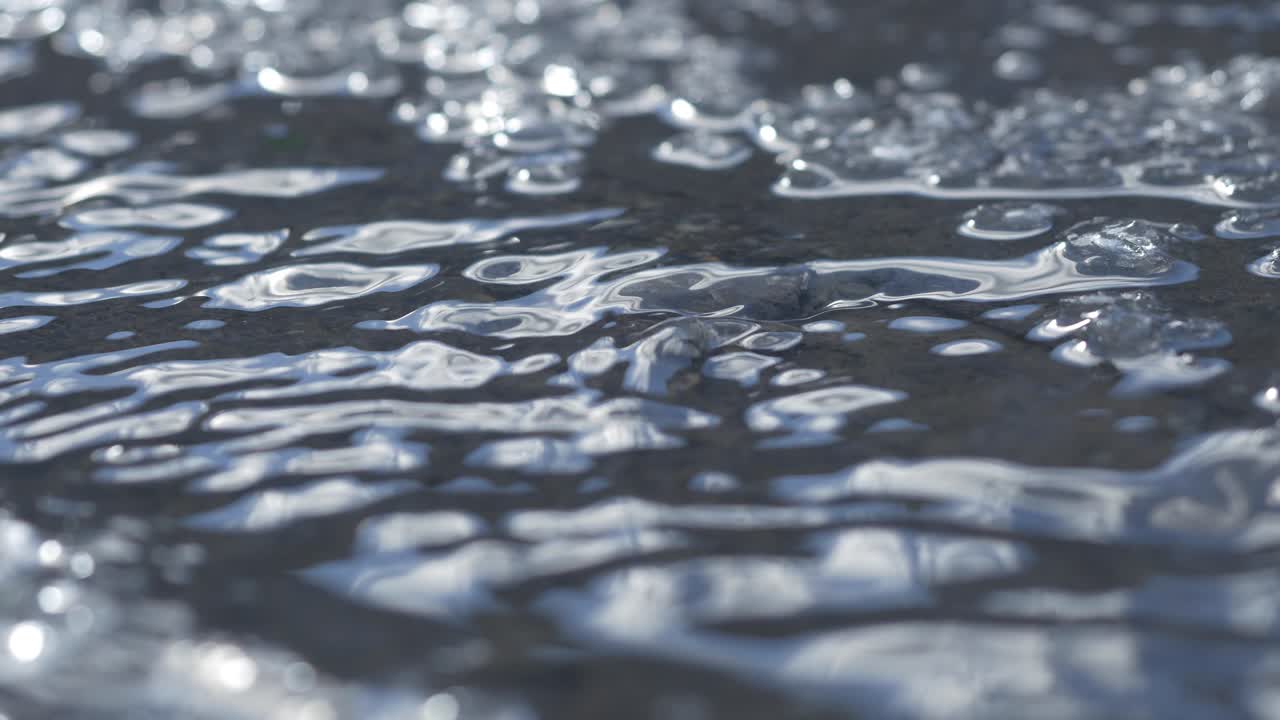 땅 위에 얼어붙은 웅이