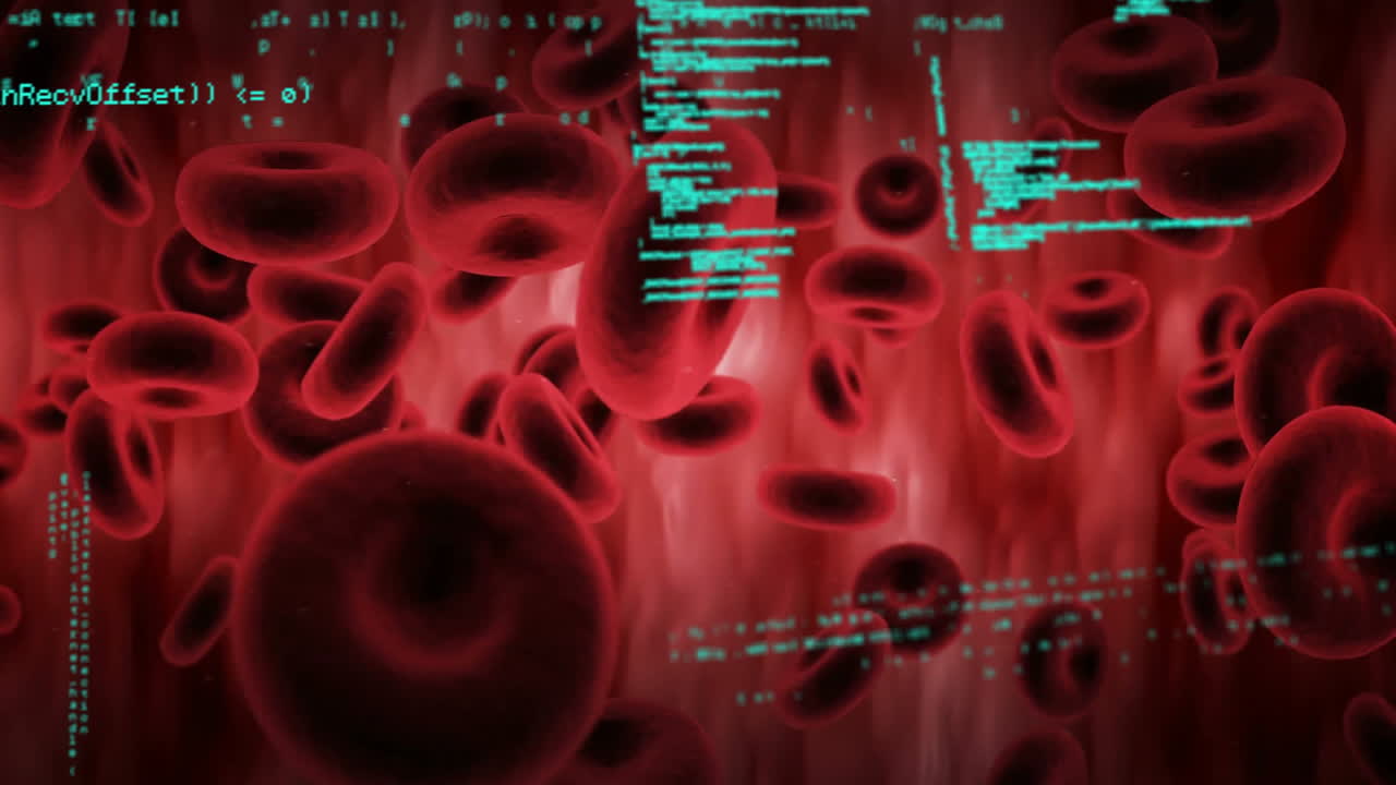 혈액 세포에 대한 데이터 처리의 애니메이션