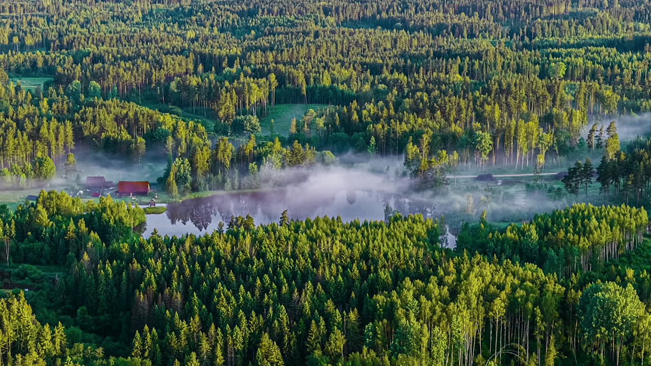 Scenic forest with misty morning lake in peaceful nature timelapse view