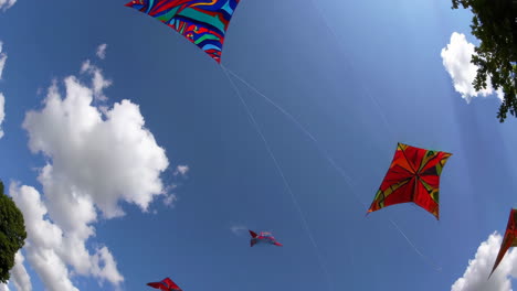 family fun with kites in a park