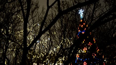 christmas tree at night