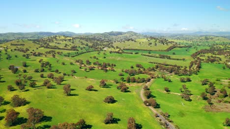 panorama of a hilly landscape with lush green woods in the rural area of australia