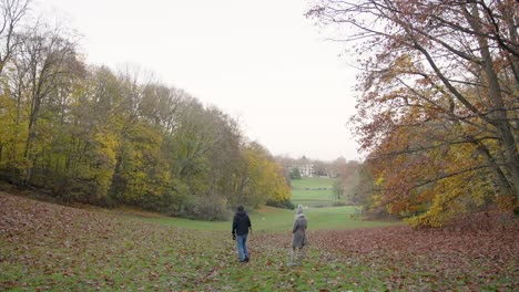 people training smart pet dog to catch frisbee at the park in autumn