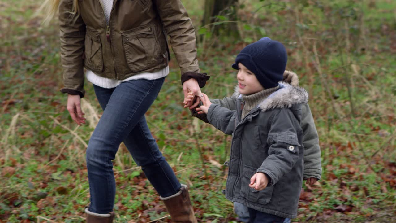 familia en el paseo de invierno en el campo con el perro disparado en r3d