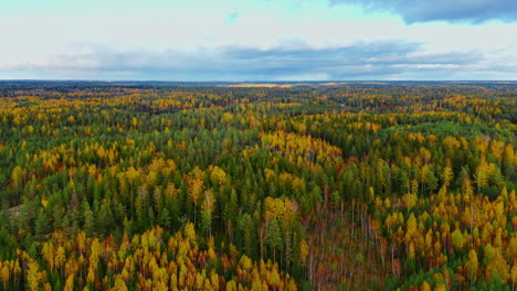 An-endless-expanse-of-wilderness-forest-reveals-a-wide-shot-of-a-small-lake-in-a-national-park-in-Finland