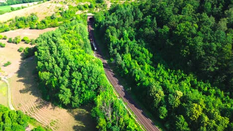 aerial drone cargo train along forest 4k