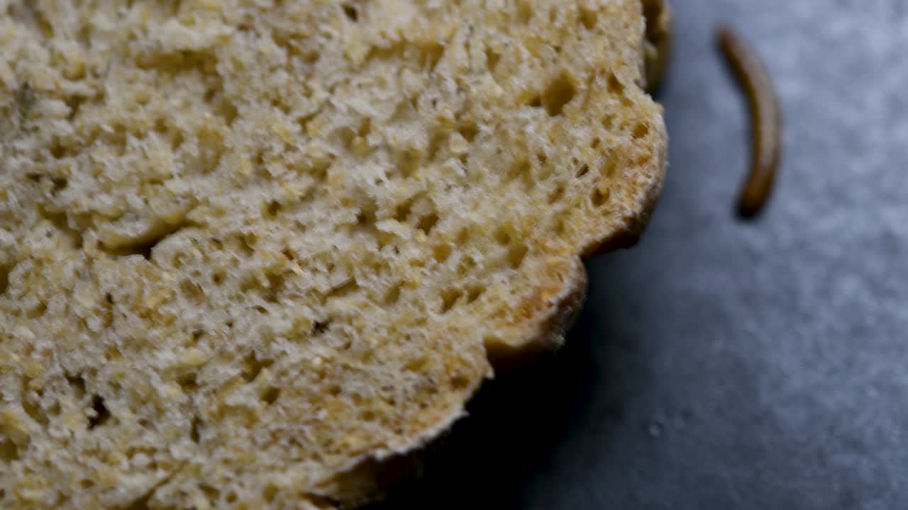 밀웜은 물고기, 뱀, 새, 개구리와 같은 애완동물에게 먹이를 주는 데 사용되는 딱정벌레의 일종입니다.