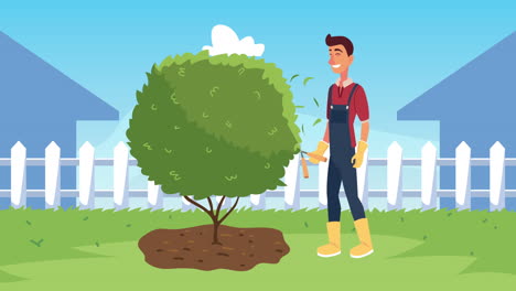 gardener trimming a shrub in a backyard