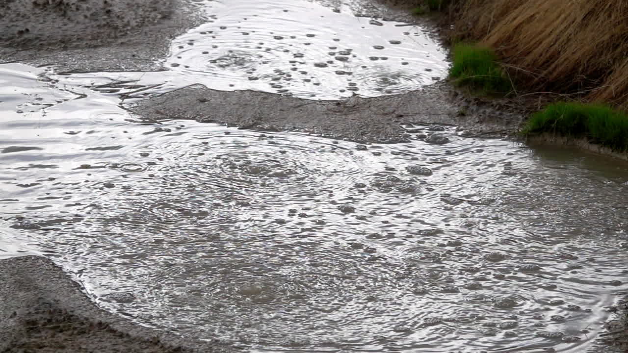 느린 동작으로 지열 온천수에서 기포가 상승합니다.