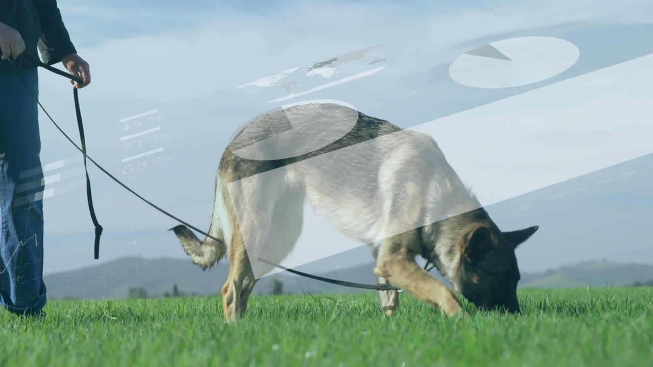 person holding leash and dog sniffing grass in open field, with animated pet care icons floating