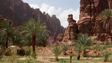 vistas del valle de wadi al disah en la región de tabuk, en el oeste de arabia saudita