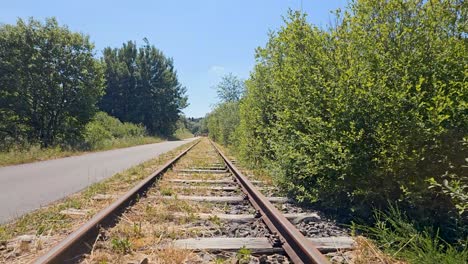 footage of railway tracks in the summer