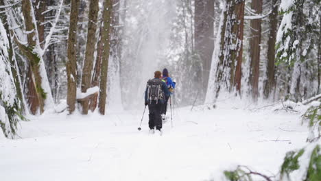 slow motion, snow falling around a group of people snowshoeing through wintery forest