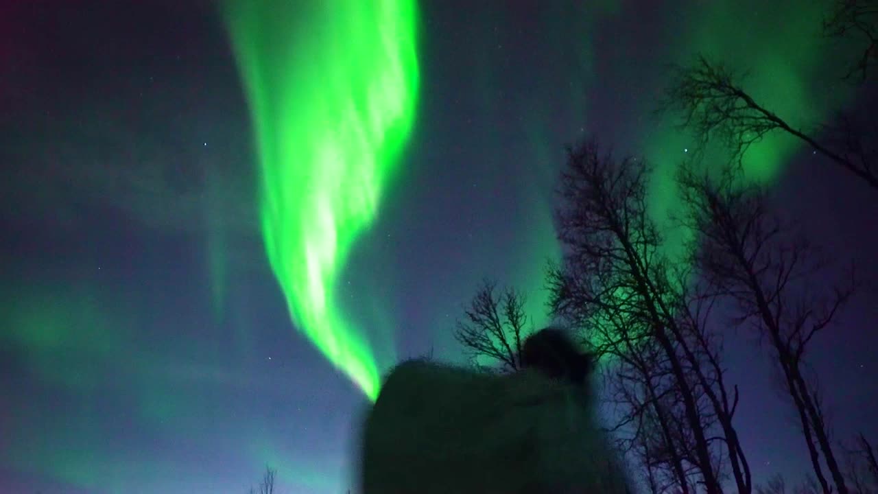 노르웨이 육군 병사들은 북극광을 배경으로 밤에 지상 전술을 연습합니다 1
