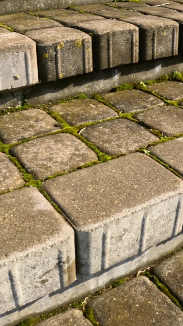 Kipsala Riga: Close Up of Old Paving Stones with Moss Detail