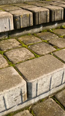 kipsala riga: close up of old paving stones with moss detail