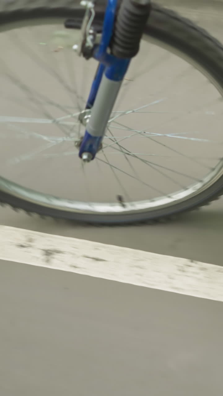 색 표시로 포장 된 도로를 따라 자전거를 타고 있는 누군가의 클로즈업, 설정은 을 따라 울창한 초록색과 땅에 어져 있는 잎자루를 특징으로합니다.