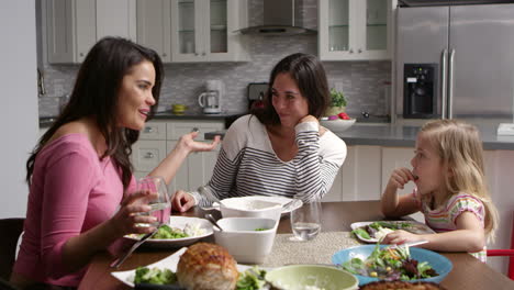 lesbian couple and daughter having dinner in their kitchen, shot on r3d