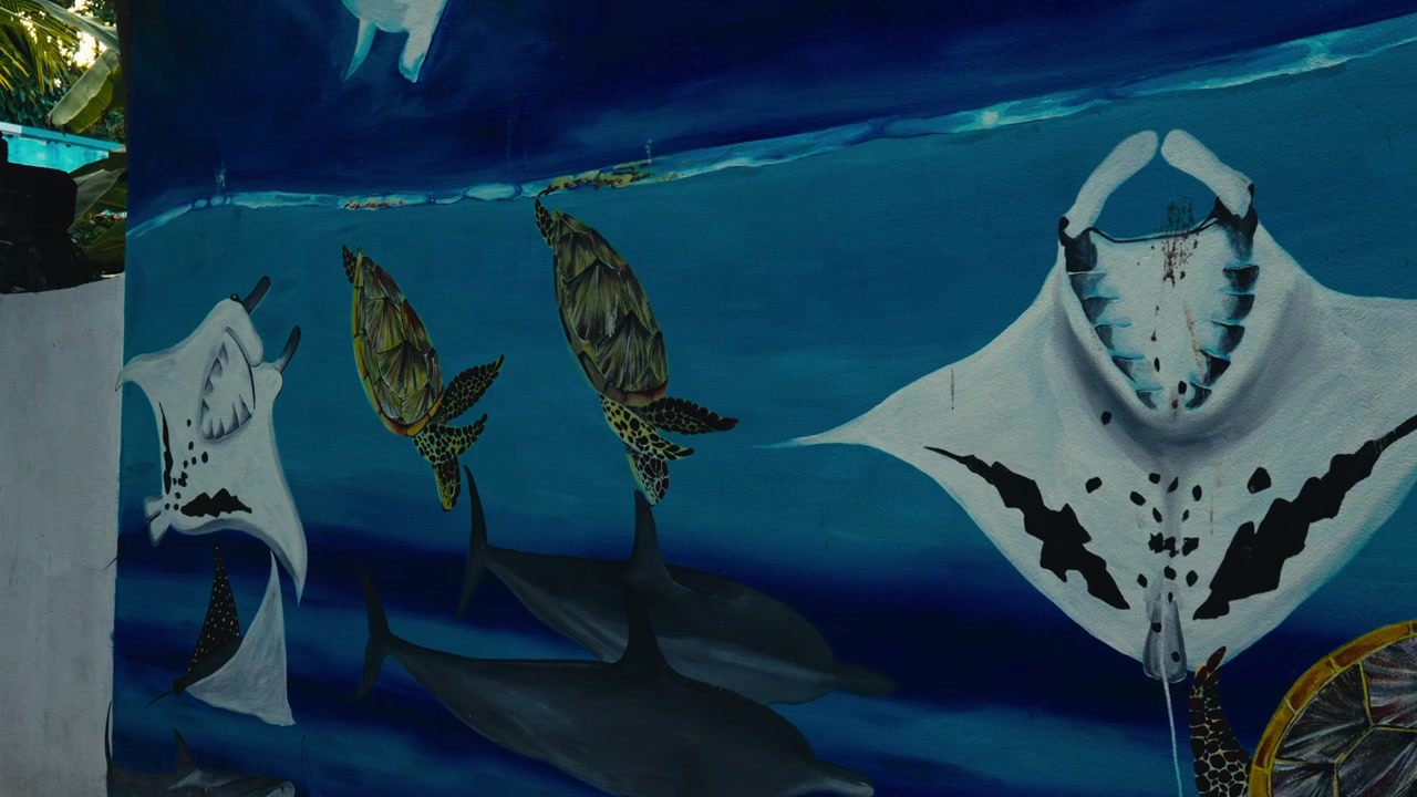 Colorful Wall Mural Painting Depicting Maldivian Marine Life Including Manta Rays Dolphins and Sea Turtles in Ukulhas