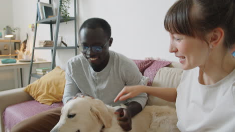 multiethnic couple talking on video call and petting dog at home