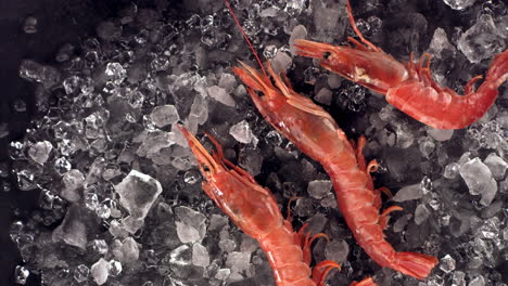 OVERHEAD-VIEW-SUPER-SLOW-MOTION-Three-fresh-scampi-shrimps-falling-on-an-ice-pile.-Shot-with-high-speed-camera,-420-FPS