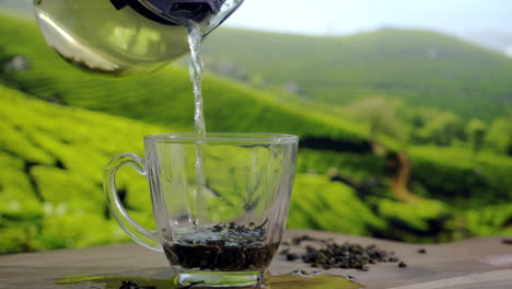 pouring black tea into a glass cup on a wooden table and tea plantation in background freshly brewed detox drink