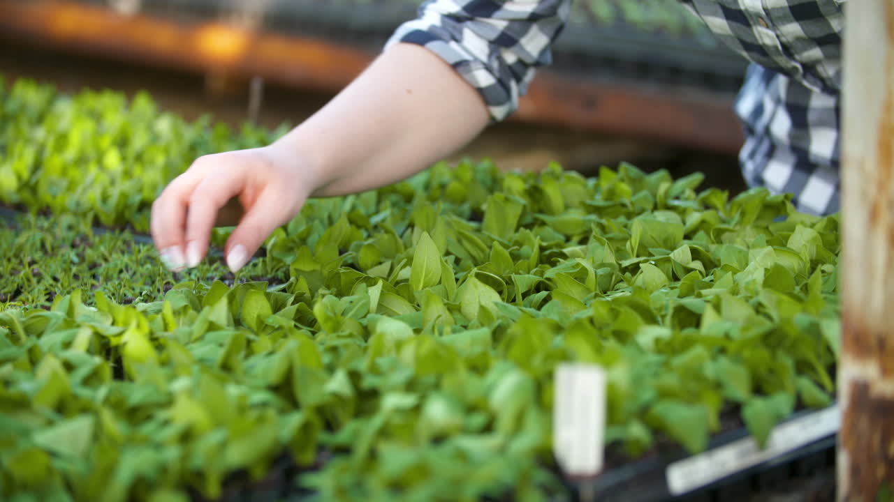 화분을 조사하는 젊은 여성 식물학자 15