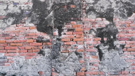 pared de ladrillo desgastada con musgo y grietas