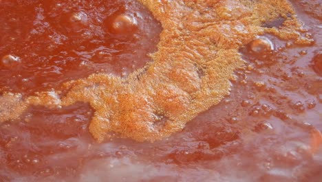 boiling tomato sauce close up shot