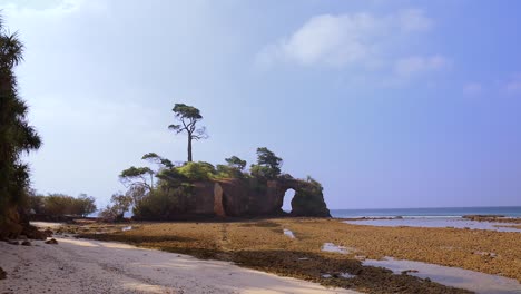 lakshmanpur beach no 2 y el puente de coral en la isla neil, islas andaman y nicobar, india, durante la marea baja