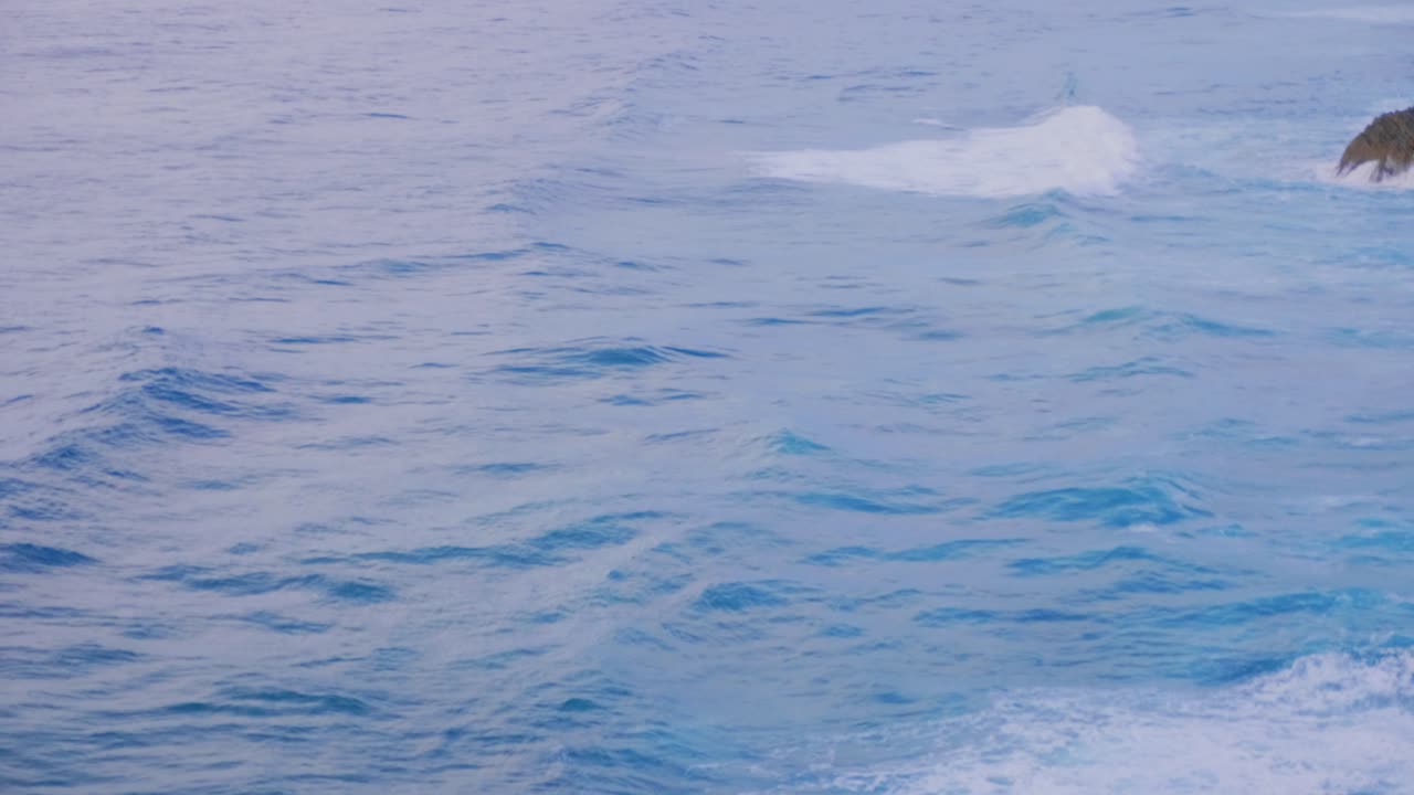 초승달 모양의 파도 - 맥클레이 계곡 해안의 서핑 천국 - 뉴 사우스 웨일즈, 시드니, 호주