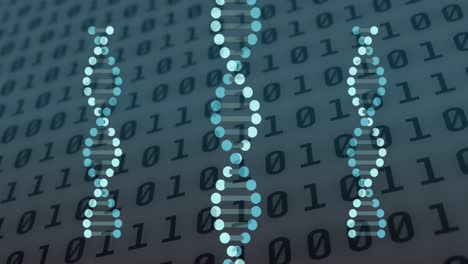animación de cadenas de adn que giran sobre el procesamiento de datos de codificación binaria
