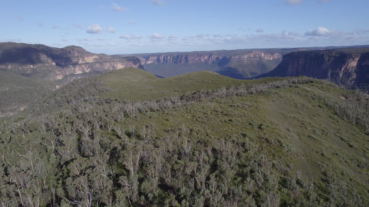 exuberante vegetación y altos acantilados en la maravilla natural del valle de grose en el parque nacional de las montañas azules en australia