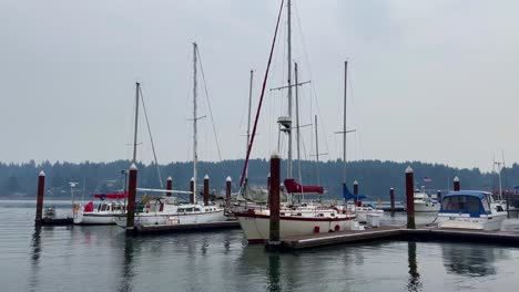 tranquil view of the harbor and marina near historic town of florence, oregon, usa