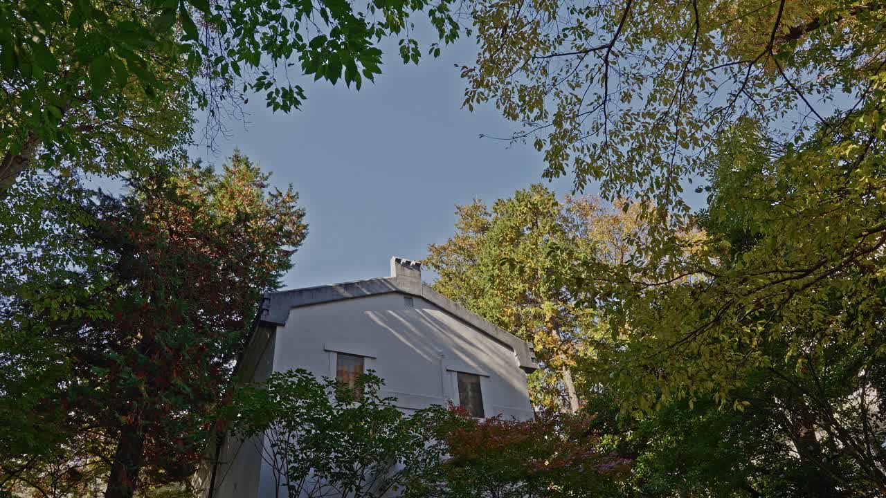 The historic Eisei Bunko Museum building viewed through a canopy of colorful autumn leaves in Tokyo