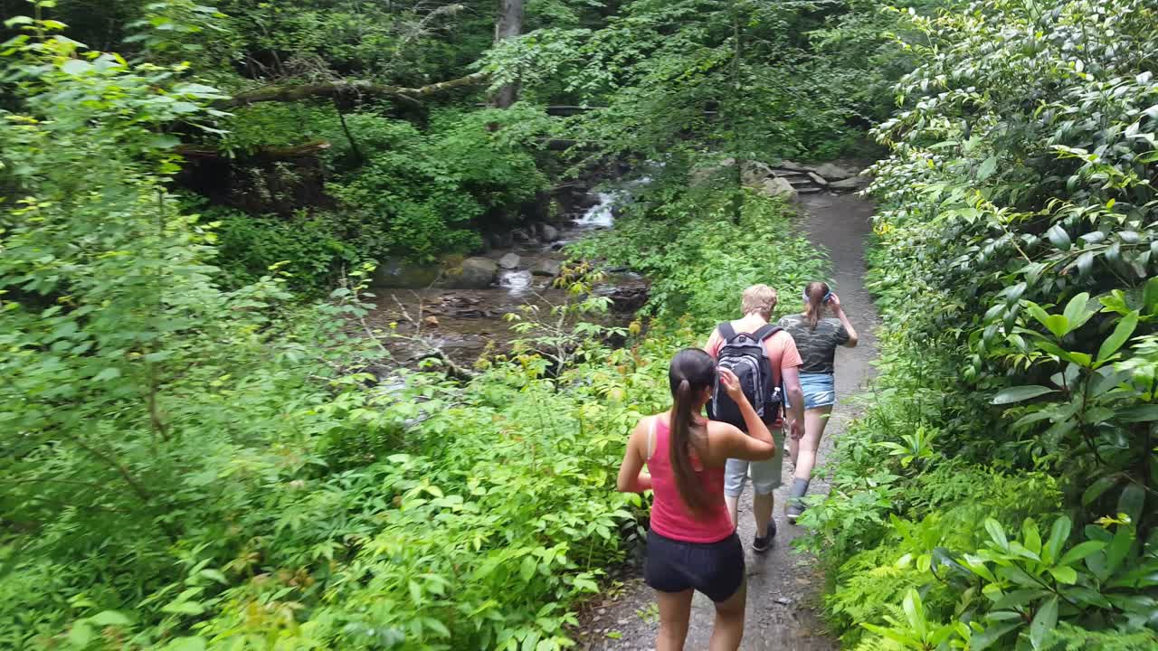 excursionistas caminando por un sendero en el bosque