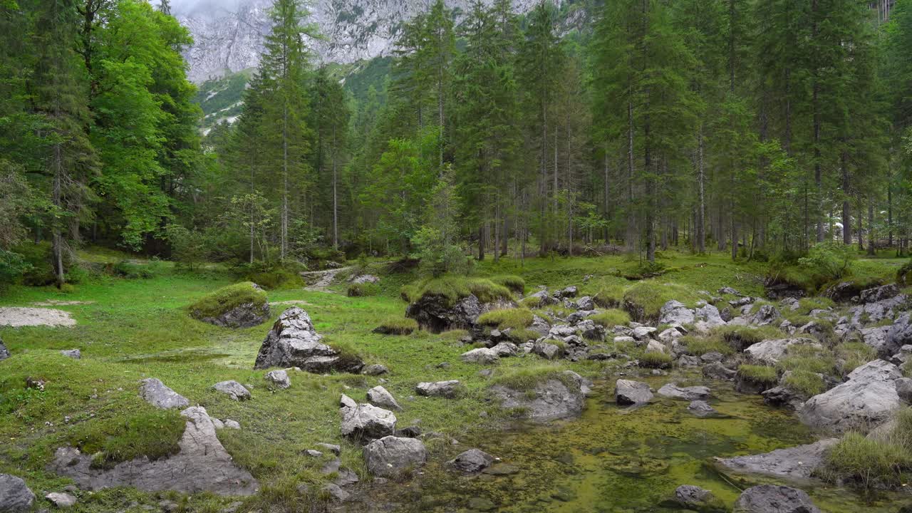 Zelené louky v oblasti Gosausee