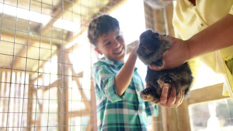 Happy-biracial-grandmother-and-grandson-holding-and-petting-rabbits,-slow-motion