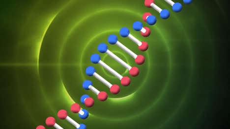 Animación-De-Una-Cadena-De-ADN-Sobre-Círculos-Verdes.