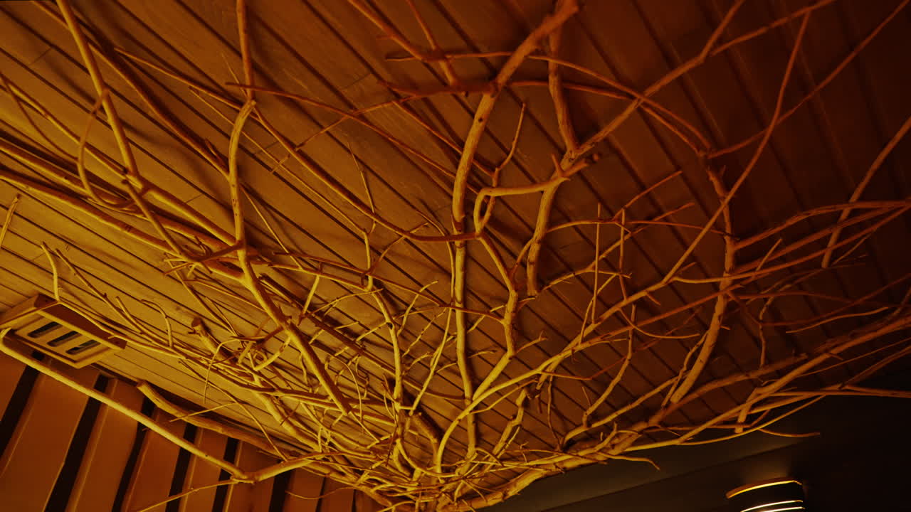 Rustic Ceiling Decor with Branches