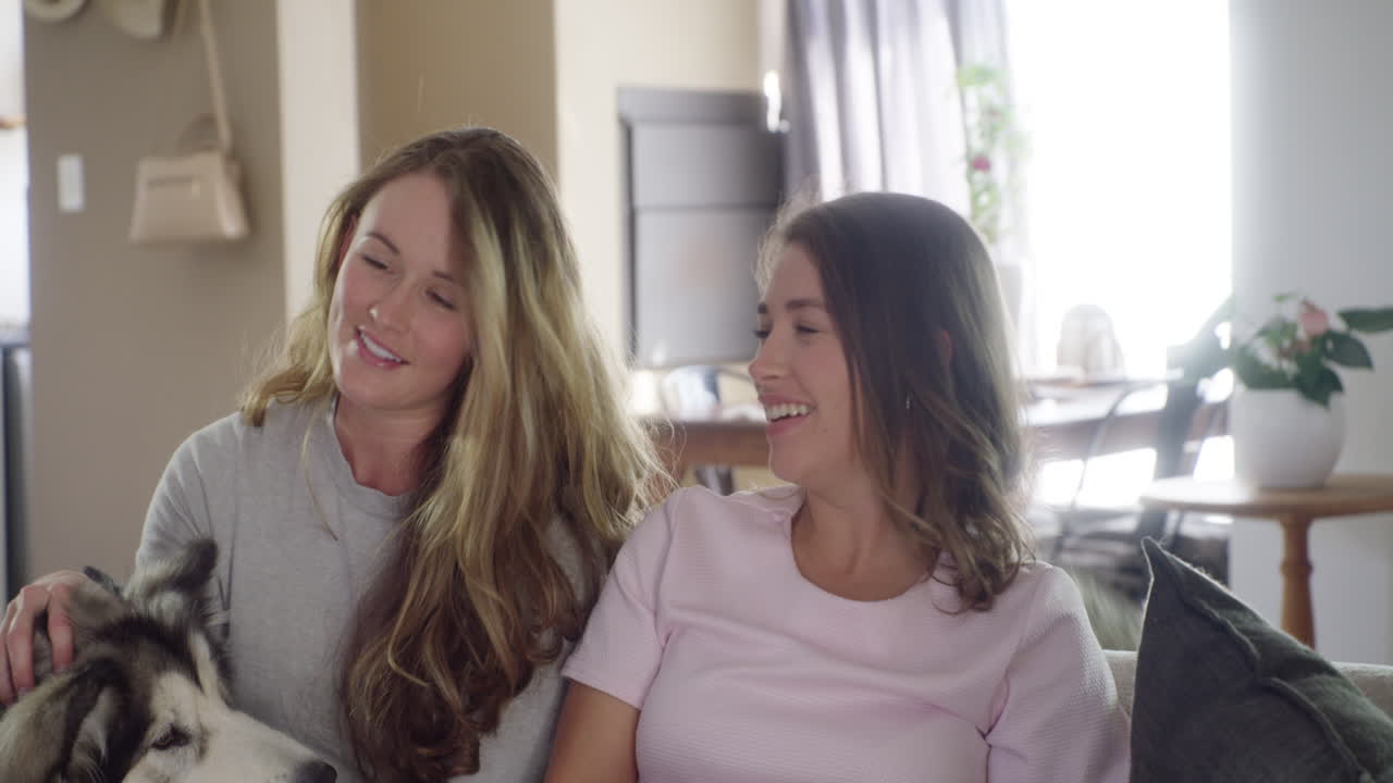 삶은 좋지만 개와 함께 사는 삶은 더  ⁇ 습니다.