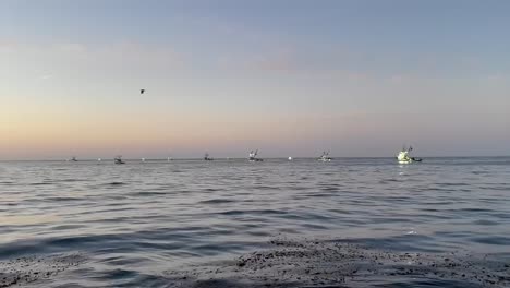 commercial fishing boats in monterey bay