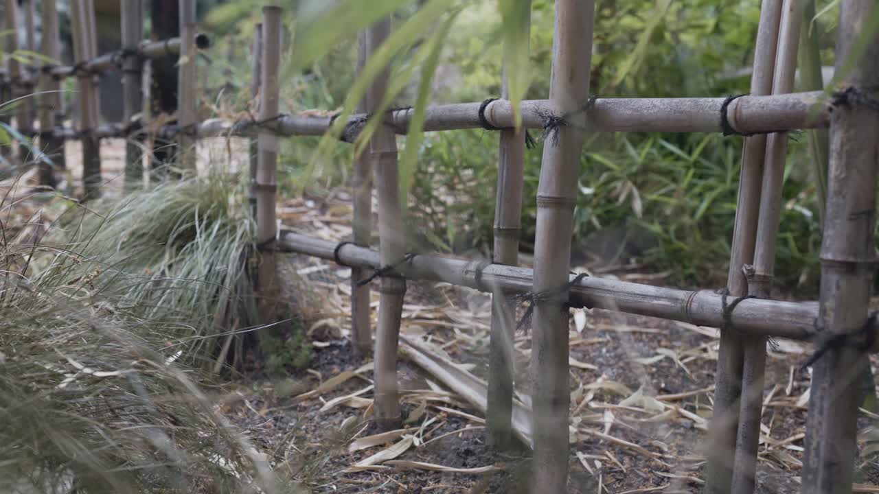 A bamboo fence in a garden