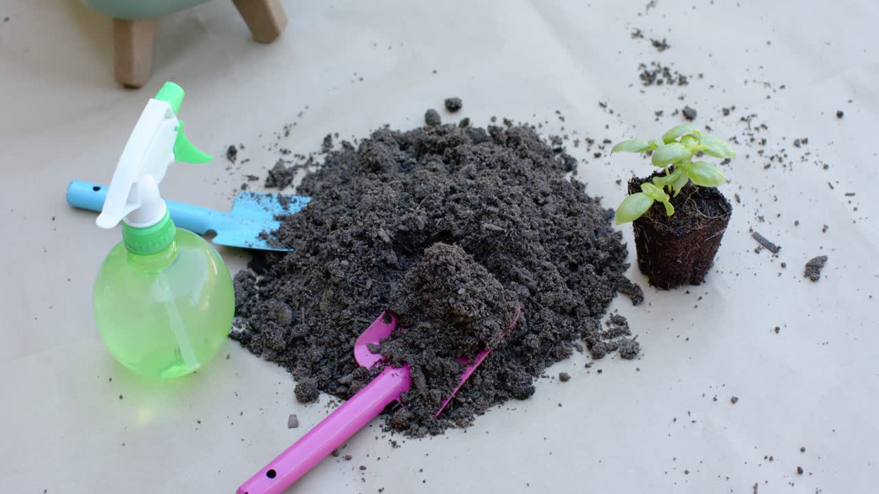 Terra e detriti si spargono, depositandosi sul tavolo dopo che gli attrezzi sono stati sistemati per il rinvaso di una piantina.