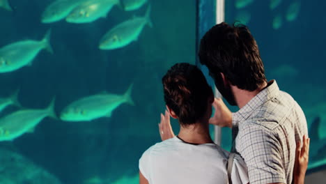 couple taking photo of fish