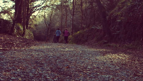 View-of-people-running