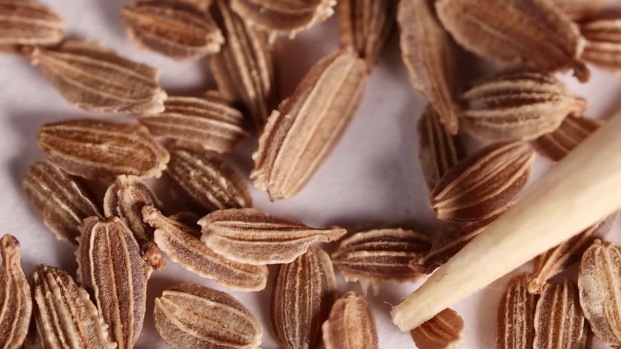 Close-up examination of seeds with a wooden tool in a laboratory setting, highlighting texture and detail