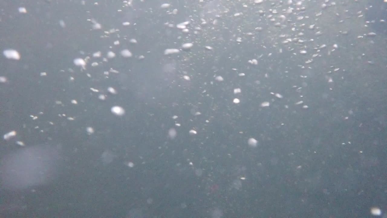 거품 순환의 고해상도로 수중 녹화